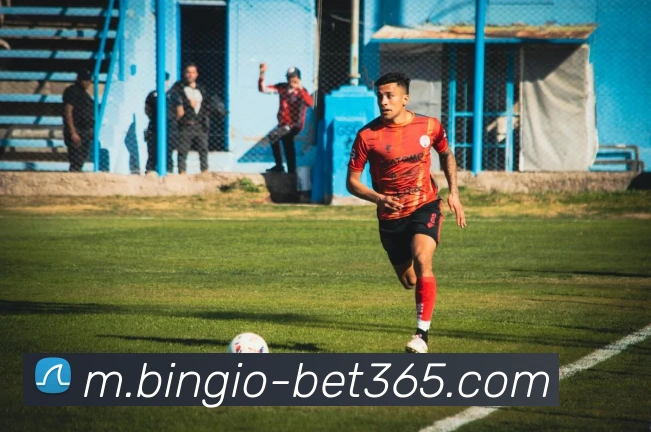 App Interface Preview